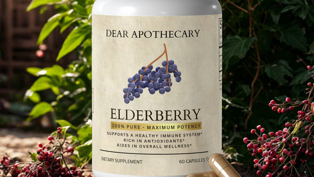 Elderberries: A Time-Honored Herbal Ally for Immune & Seasonal Support