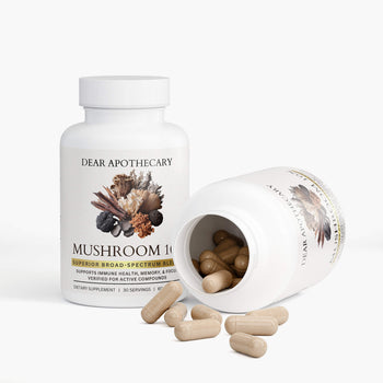 Mushroom 10x