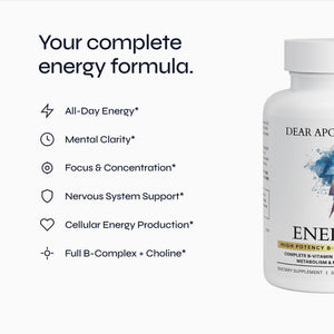 Energy+