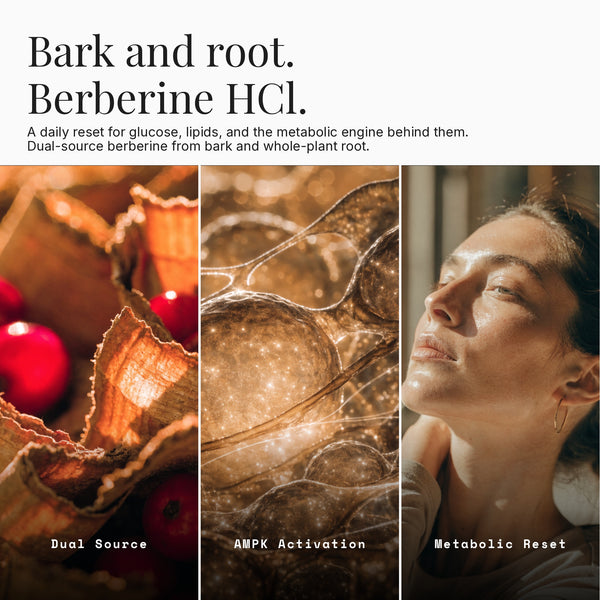 Berberine Bark & Root HCl