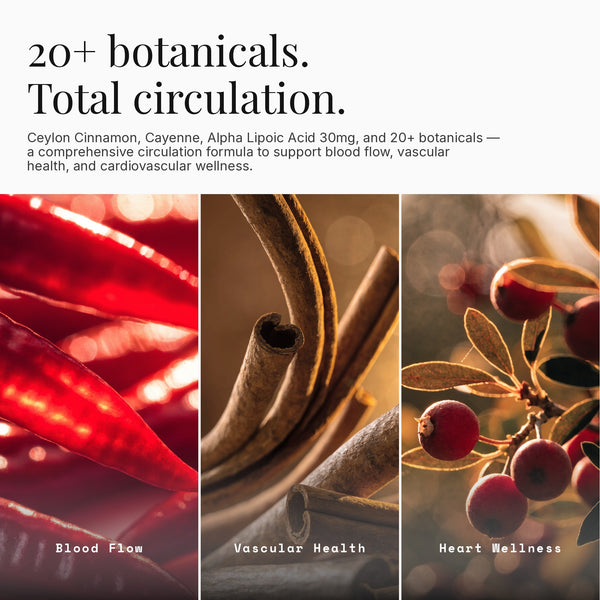 Circulation+
