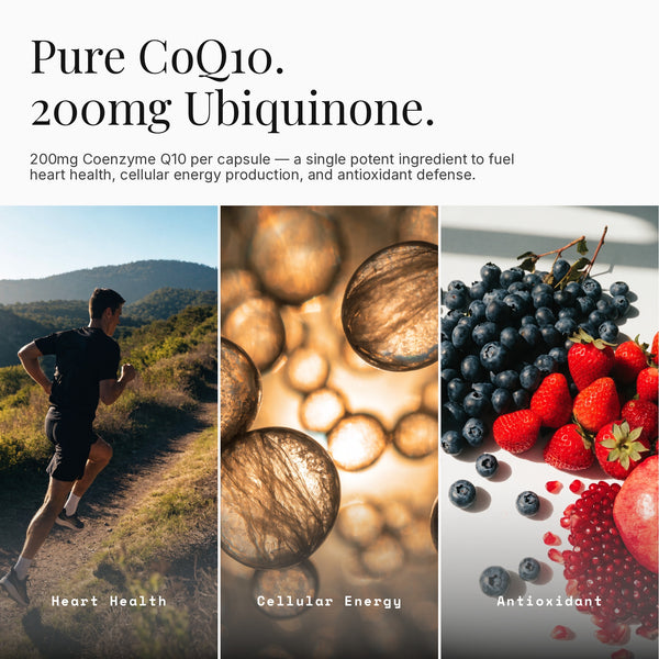 Coenzyme Q10