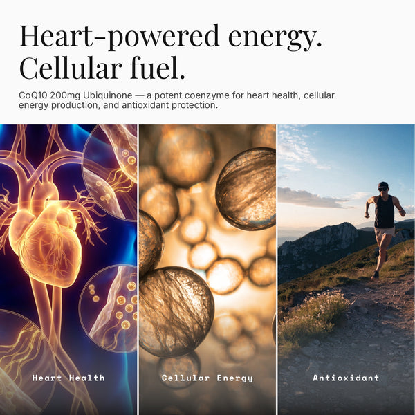 Coenzyme Q10