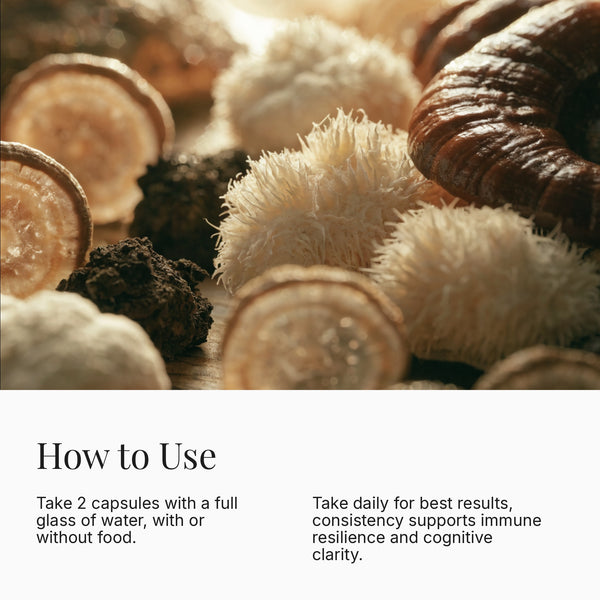Daily Mushrooms+