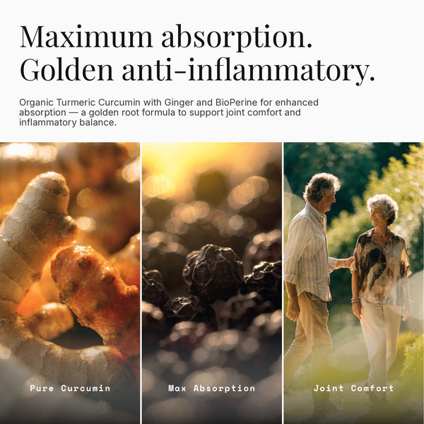 Organic Golden Root