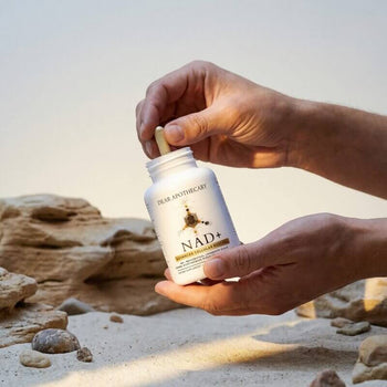 NAD+ Longevity