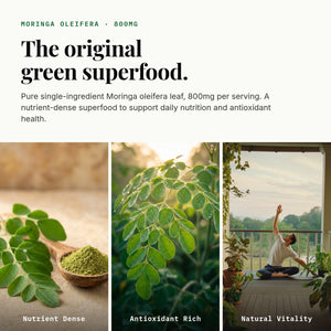 Moringa