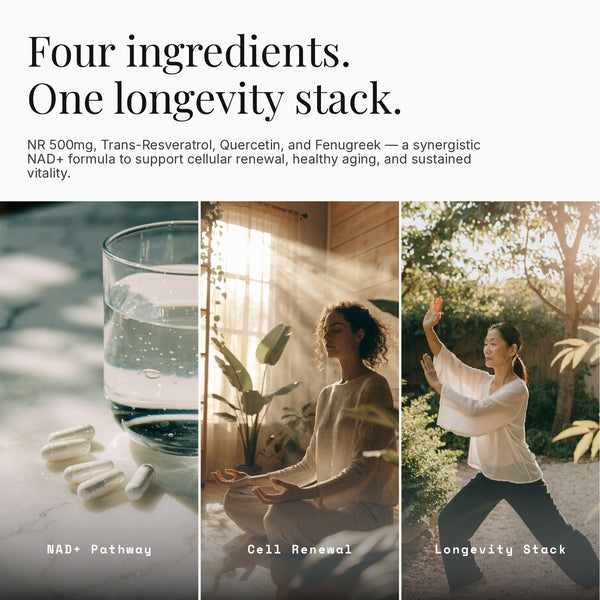 NAD+ Longevity