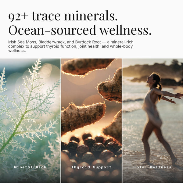 Organic Seamoss+