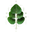 Dear Apothecary logo